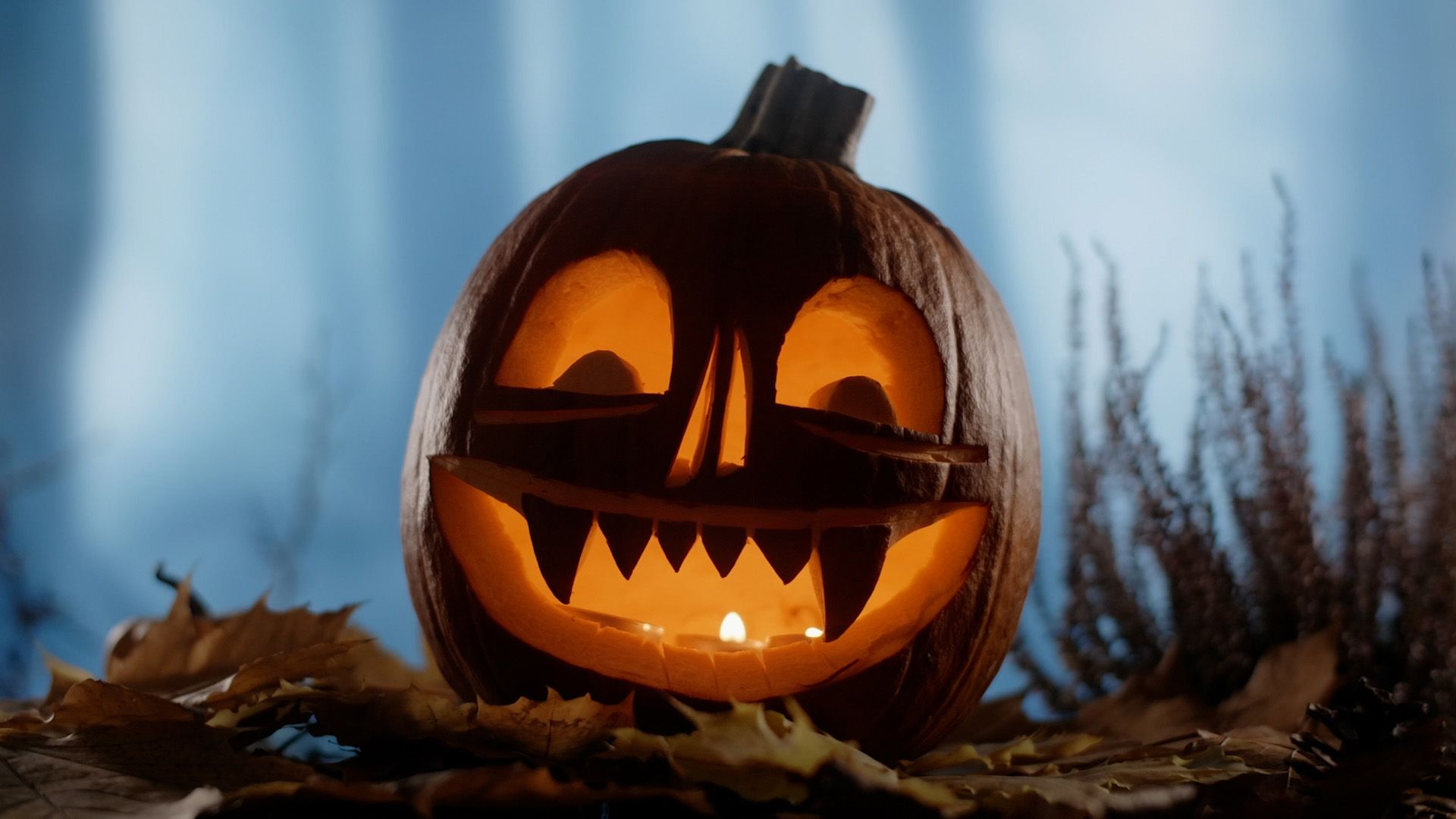 The thousand-year history of Halloween
